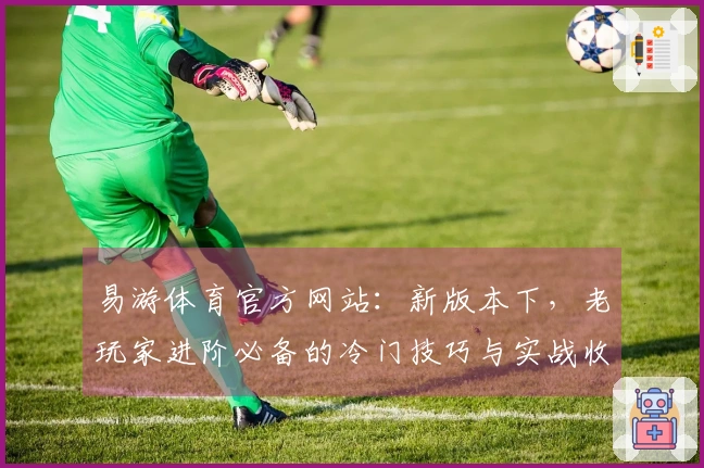 易游体育官方网站：新版本下，老玩家进阶必备的冷门技巧与实战收益深度剖析