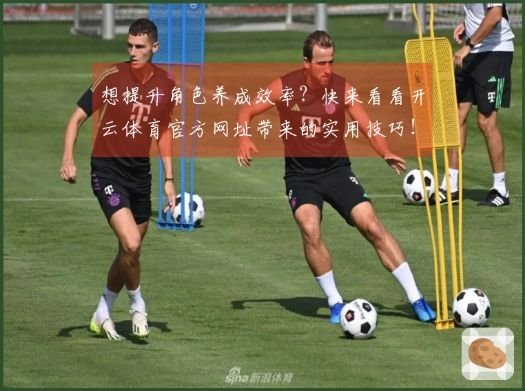 想提升角色养成效率？快来看看开云体育官方网址带来的实用技巧！