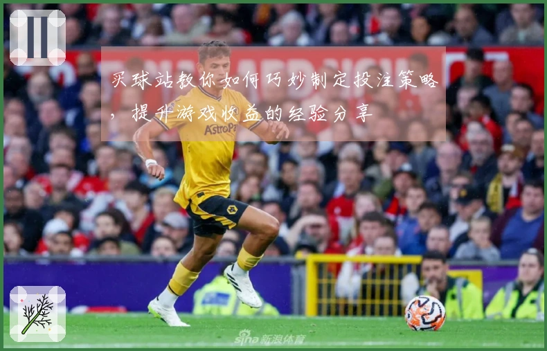 买球站教你如何巧妙制定投注策略，提升游戏收益的经验分享