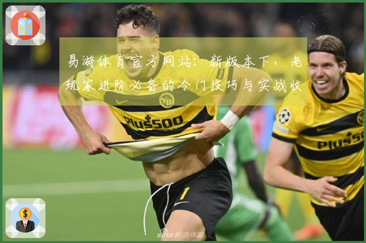 易游体育官方网站：新版本下，老玩家进阶必备的冷门技巧与实战收益深度剖析
